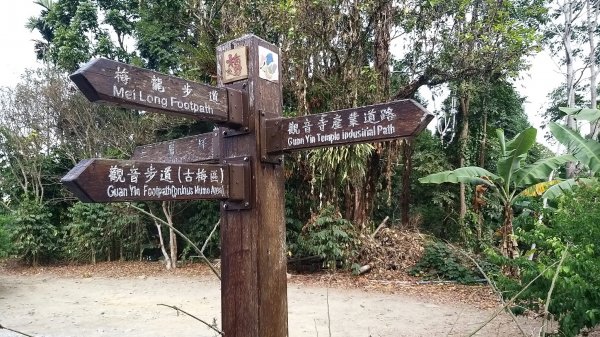 230312-撿一座被遺忘的小百岳#067 竹子尖山。美美兔階梯陡上稜線O型環走一圈。2116522