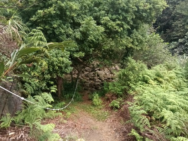 瑞芳區內九份溪水圳橋+水圳路風吹輦隔+無言の山丘+六坑斜坡索道O型2891651