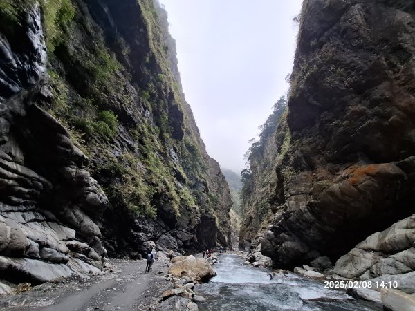 2025.02.08 限時秘境?菜市場? 北港溪峽谷步道2709057