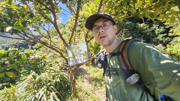 20250820金童玉女月牙天沖(金童嶺-玉女嶺-女王尖-月牙嶺-瑞光嶺-明月崙-清淨嶺-文筆嶺-清2872743