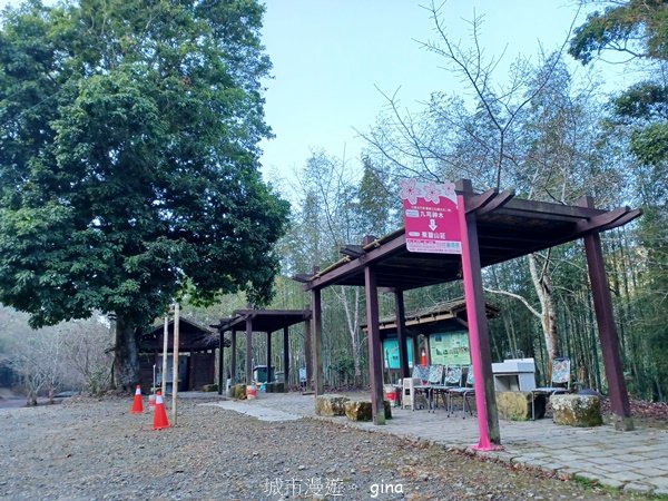 【雲林古坑】舒適宜人。 石壁山連走好望角嘉南雲峰2755245