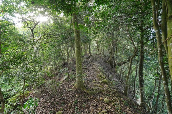 苗栗 長潭坑山、大坑尾山、三角山、雙峰山2598368