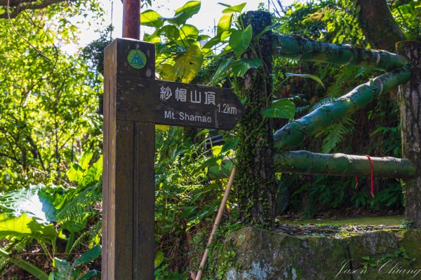 [台北]紗帽山2956580