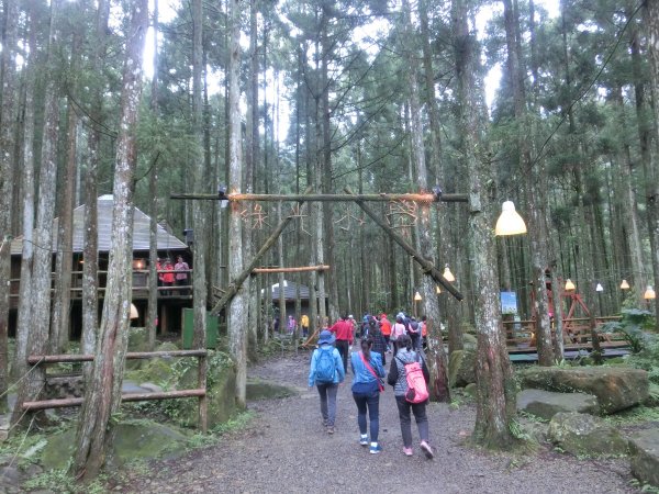 馬武督森林566510