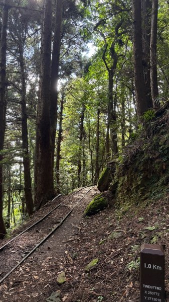 悠遊林鐵遺跡2878114