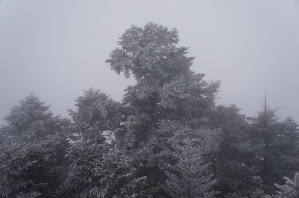 能高越嶺登山趣513478