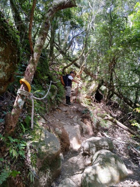 加里山（鹿場登山口往返）934101