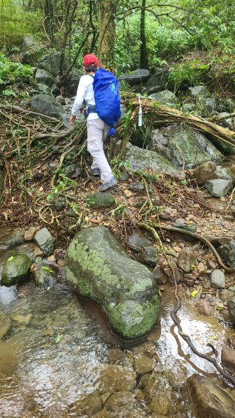 2025-01232淡蘭古道北二段(燦光寮古道到澳底)2696603