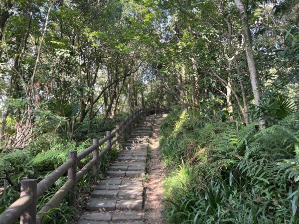 [微笑山線_第五段] 2025_0705 天上山系_五尖山2830302