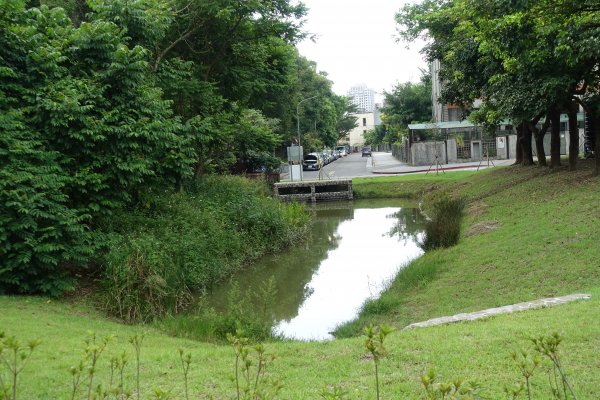 永春陂濕地公園1105517