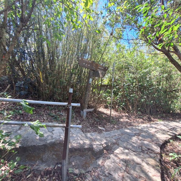 2025台北大縱走-碧山嚴往劍潭站-第五段完成!2750023