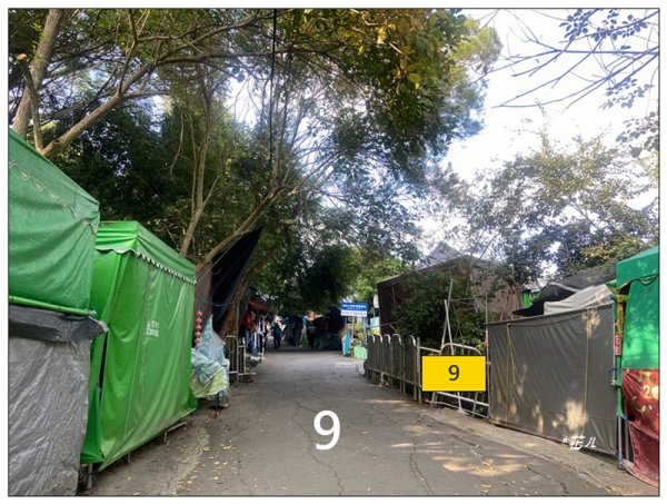 軍功寮山、大坑9、7、6、9-1步道 O型一圈2950761