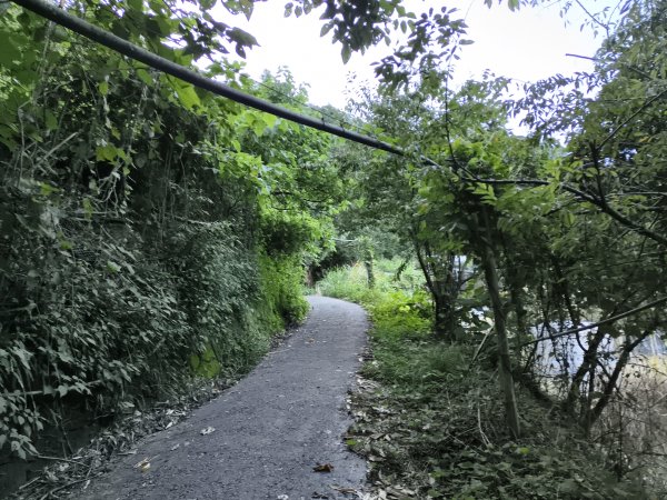 [玉山尋寶任務-07/12] 2025_0824 八通關雲龍瀑布步道2870437