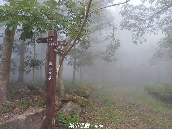 【台南。 南化】迷霧山徑。 小百岳集起來。 編號70小百岳~刣牛湖山登山步道1610471