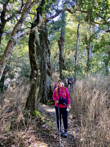 加里山縱走虎山    2021/12/41539203