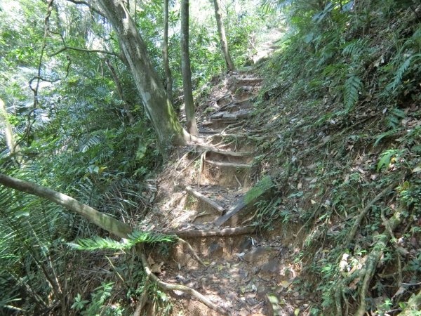 草嶺古道（福隆到大里）960315