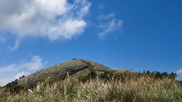 陽明山輕鬆走2991976