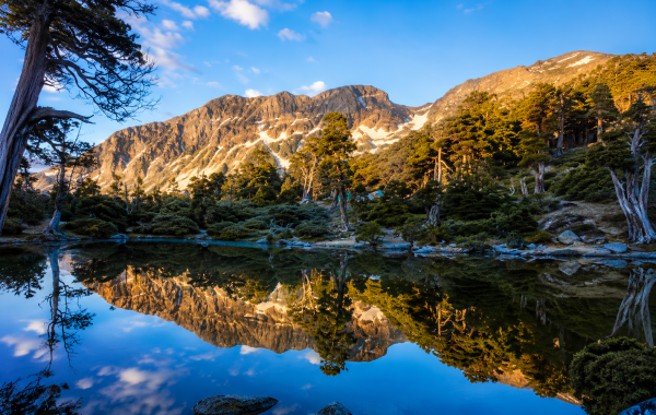 【生態環境】山上沒廁所怎麼辦？新手必讀的登山如廁完整指南