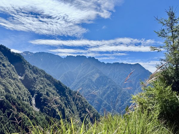 楠梓仙溪林道悠遊    2025.09.142886420