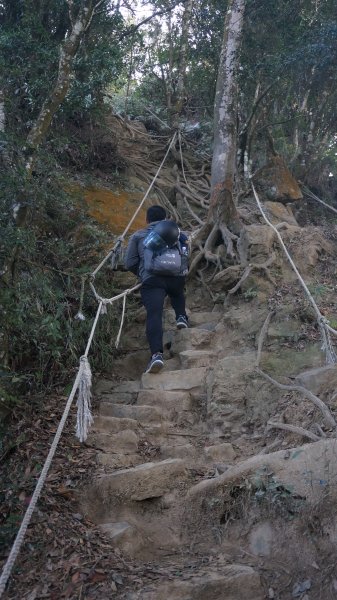 神仙縱走(仙山至神桌山)1252494