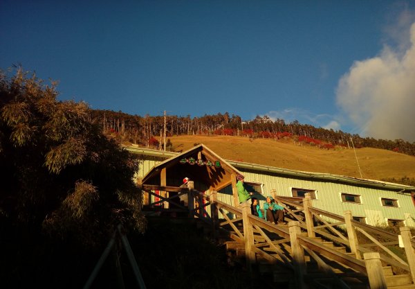 雪山 不下雪532960