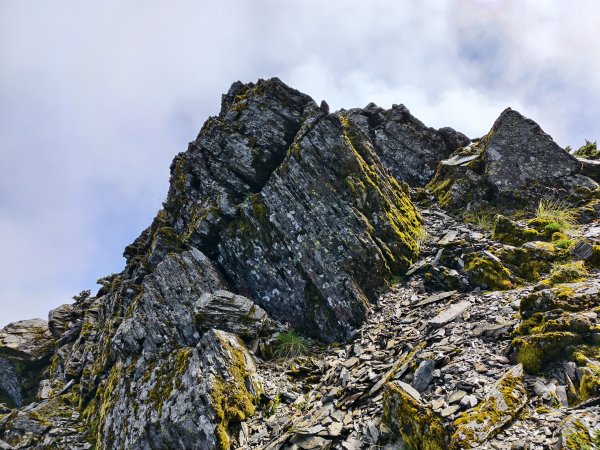 北一段(11/14)南湖北峰 2025_0906~132887368