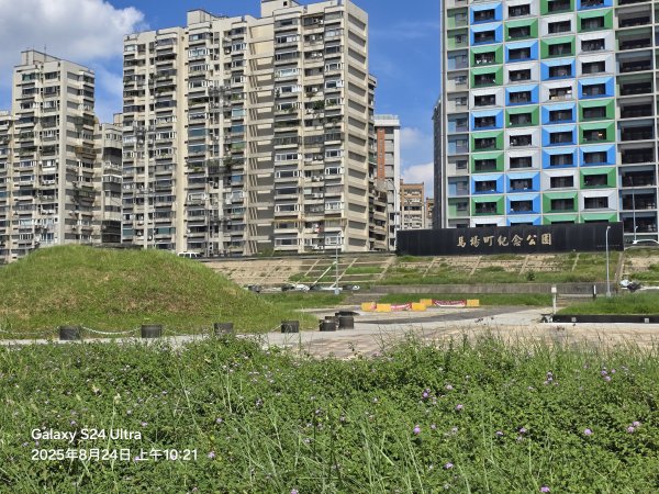 2025-08-24臺北大縱走第八段：捷運動物園站至捷運關渡站2869304