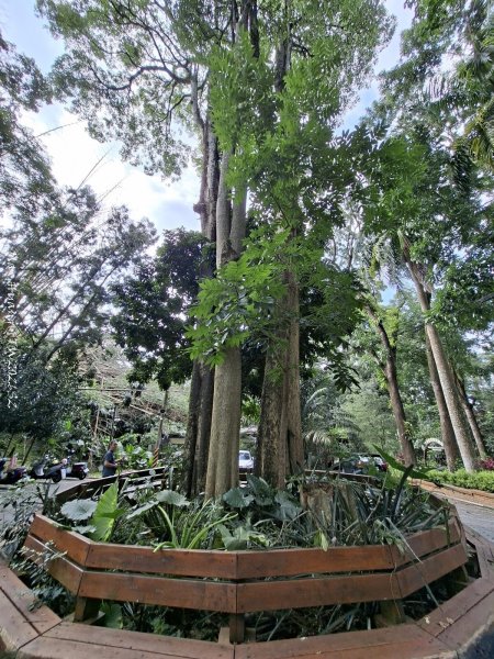 《南投》平地森林｜竹山下坪自然教育園區及下坪吊橋步道202606203077709
