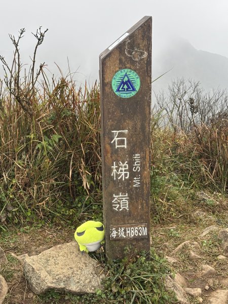 陽明山東西大縱走-東段2984530