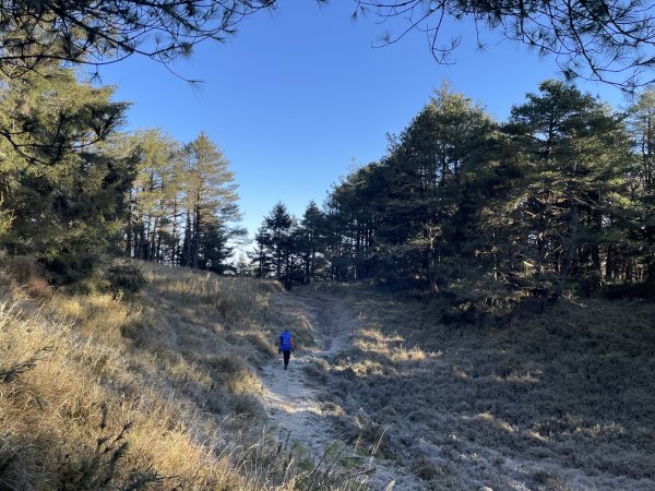 雪季南湖 2025 01/25 三天兩夜2865819