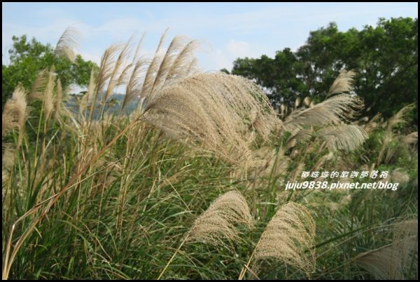 秀才登山步道233413