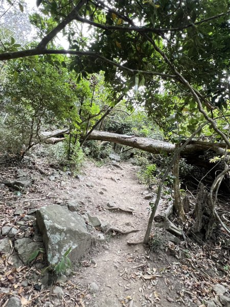 小百岳-大山母山2752561