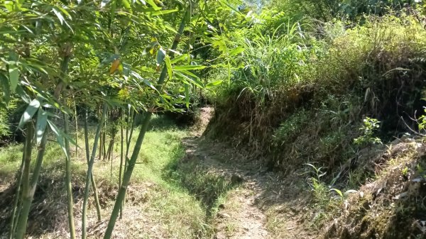 汐止區旗尾崙-姜子寮瀑布-姜子寮絕壁3083441