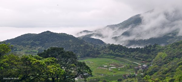 陽明山追雲趣 #天空之城 #石門嵩山梯田 #鳶尾花 #老梅綠石槽 4/5-63030191