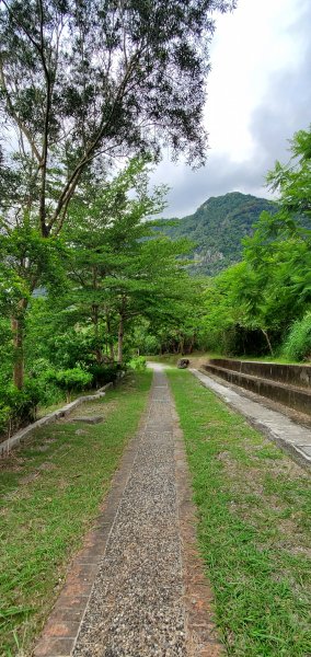 2023-06-23萬人山、六十石山步道群、羅山村竹林步道2193615