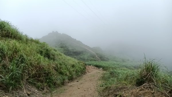 瑞芳區金瓜石地質公園-大粗坑古道(大粗坑山+小金瓜露頭)-樹梅坪-百二崁古道-金瓜石地質公園步道O型3055293
