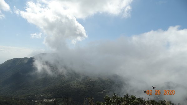 仙境?!雲霧繚繞! 2020/4th雲瀑853330