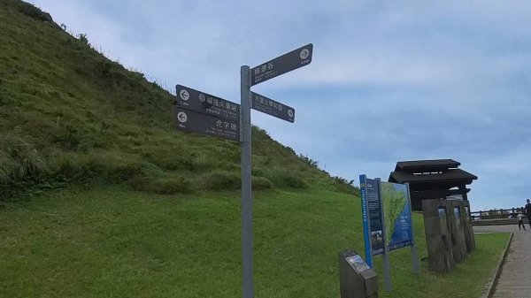 20251115_草嶺古道追芒趣2942949