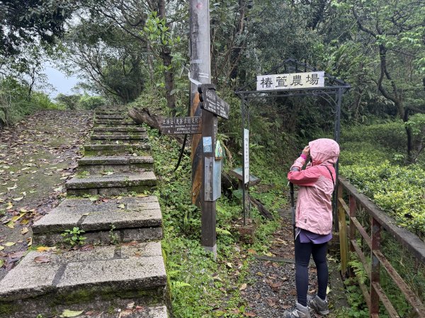 土庫岳-202503172770506