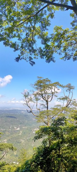 甕缸潭步道~塘湖古道~獨力山步道O形環狀995983