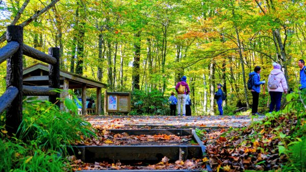 秋田縣白神山地十二湖2929780