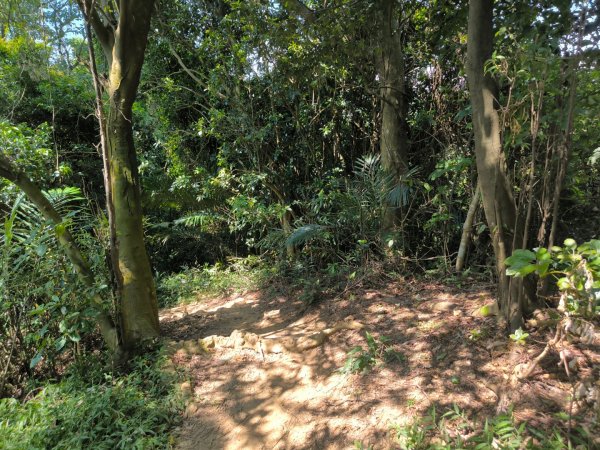 20250824鳶山彩壁2868533