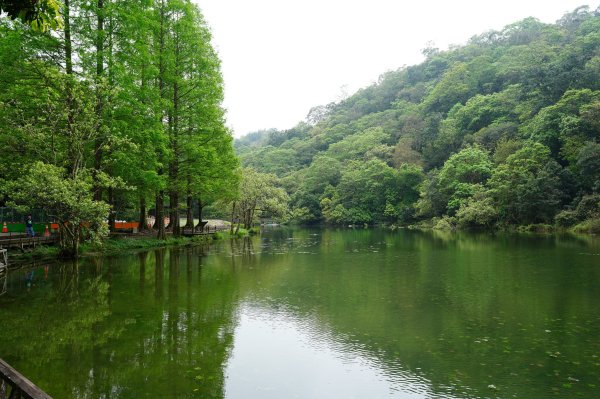 新北 烏來 志良久山3035173