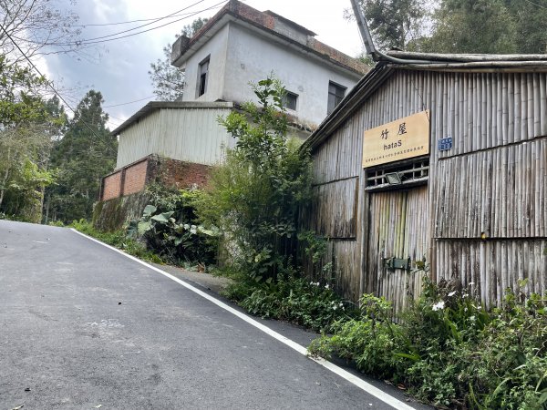 原始密林-向天湖山與光天高山11103151643718