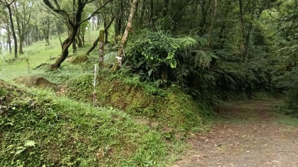 雙溪區豎旗山北稜線-豎旗山-豎旗山南峰-烏山尖-鄒家古厝-保成坑口站O型3071240