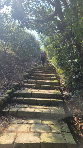 2025-0310臺北大縱走第七段2737271