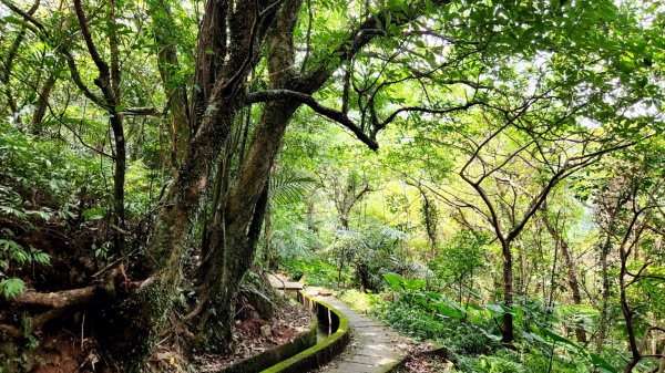 石門青山瀑布（尖山湖瀑布），石門麟山鼻岬角步道，北投中正山，泰山尖凍山，五股水碓景觀公園步道1846271