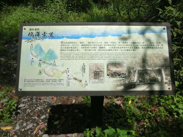 鳩之澤自然步道380140