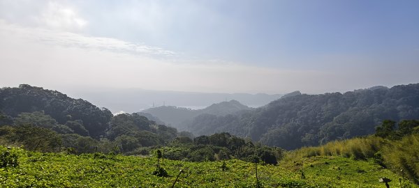 2024/12/14_關刀山步道O型2669313