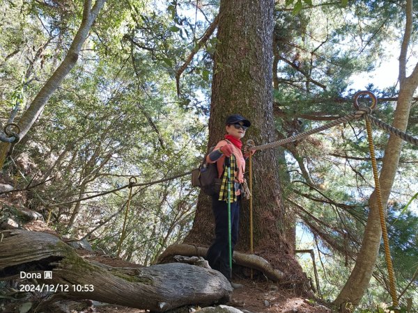 【谷關七雄】波津加(H1771.6m)肉腳配速成功2670439